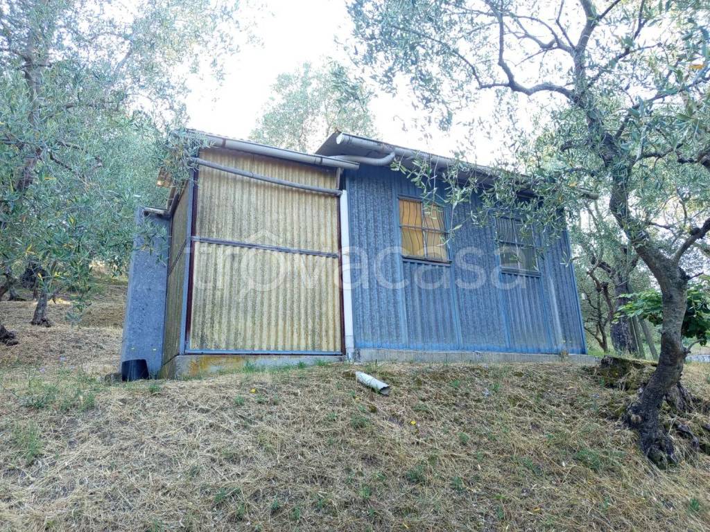 immagine annuncio 1 di 11