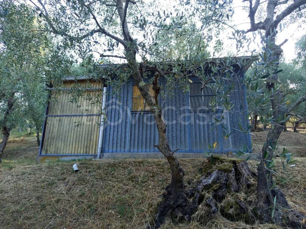 immagine annuncio 3 di 11