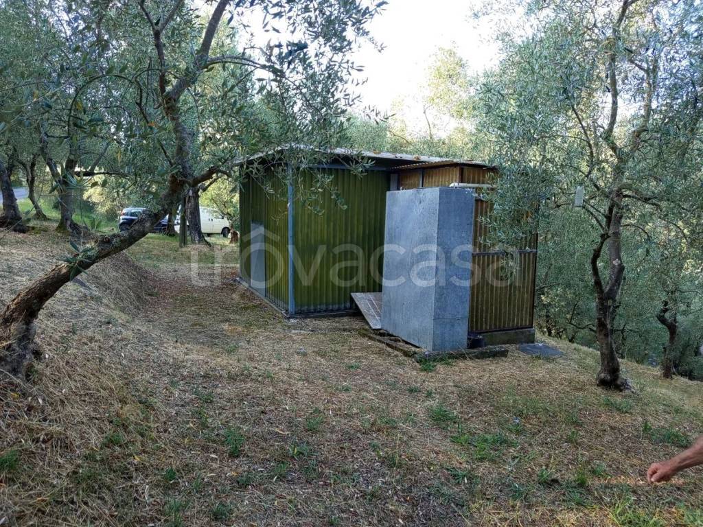 immagine annuncio 4 di 11