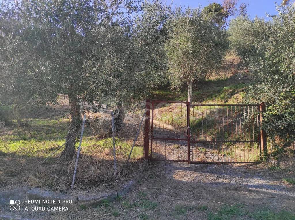 immagine annuncio 3 di 12