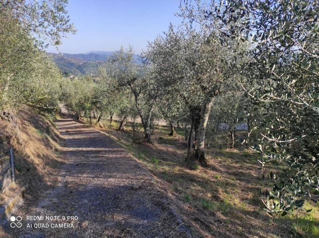 immagine annuncio 4 di 12