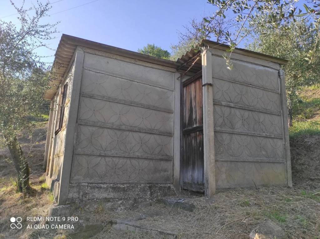 immagine annuncio 6 di 12