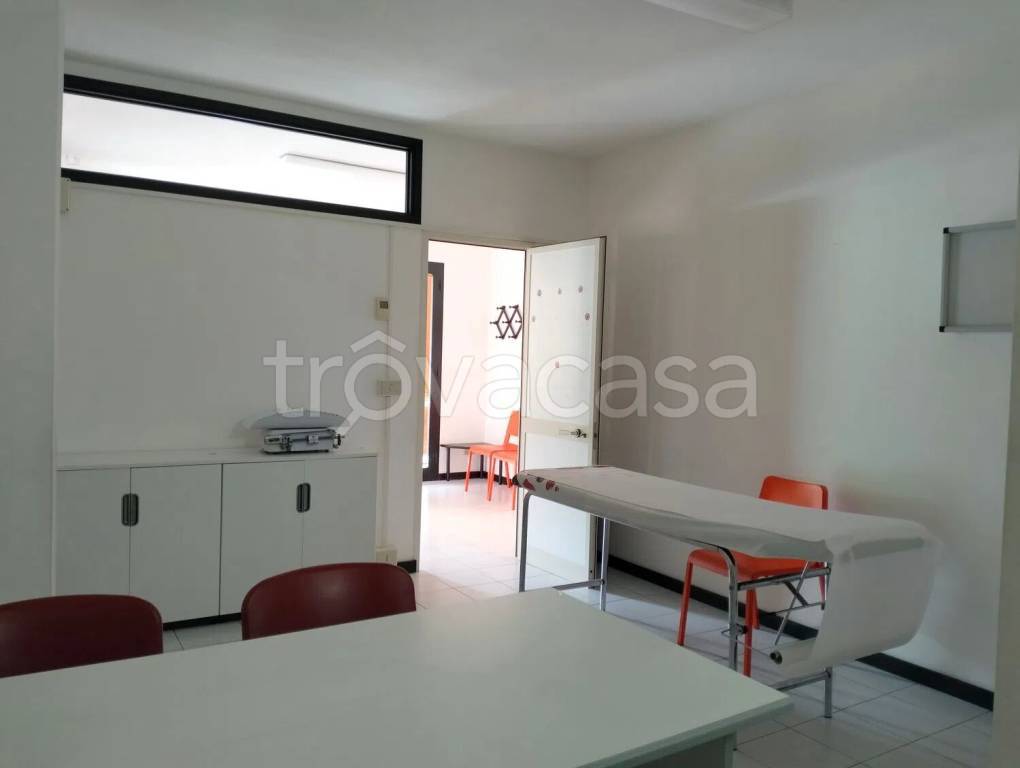 immagine annuncio 3 di 12