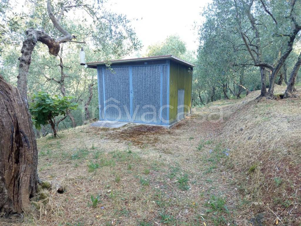 immagine annuncio 10 di 11