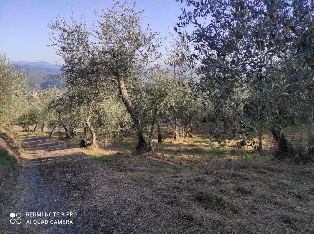 immagine annuncio 8 di 12