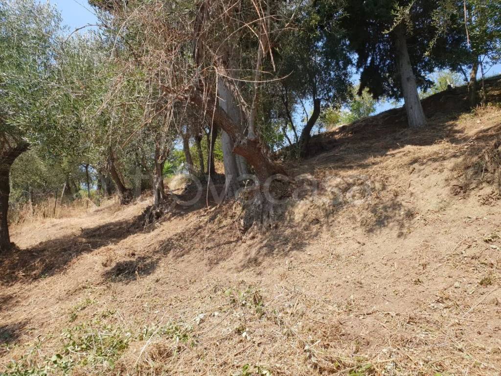 immagine annuncio 9 di 12