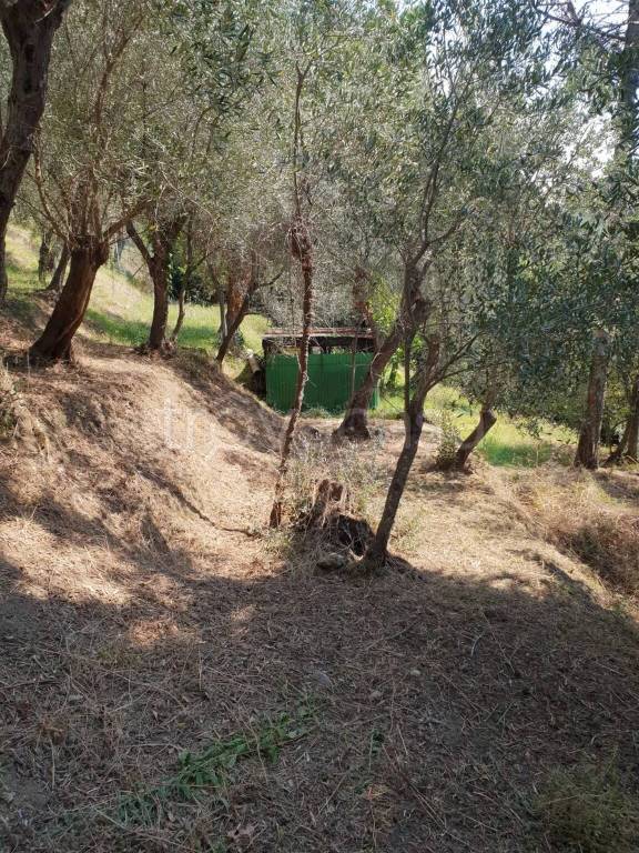 immagine annuncio 10 di 12