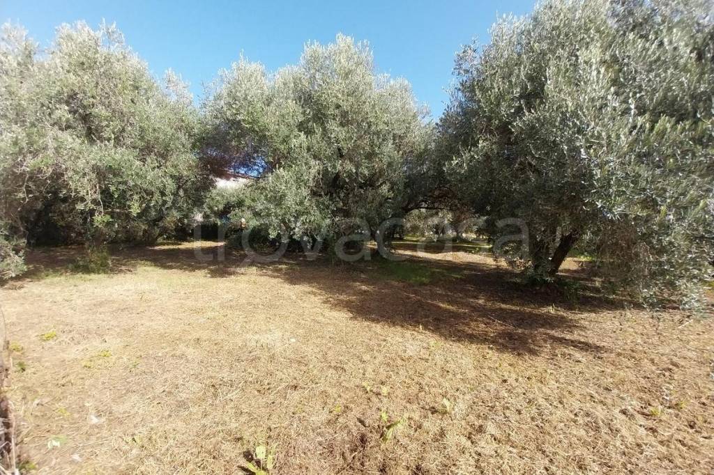 immagine annuncio 2 di 4