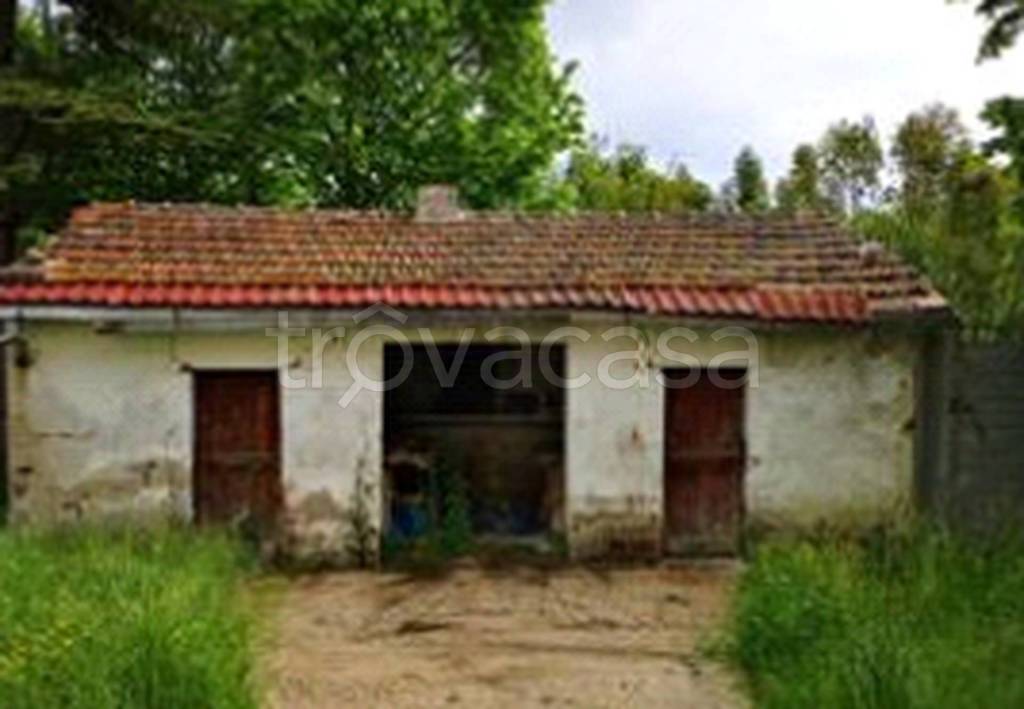 immagine annuncio 7 di 11