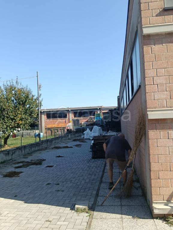 immagine annuncio 2 di 9