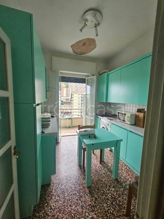 immagine annuncio 11 di 14