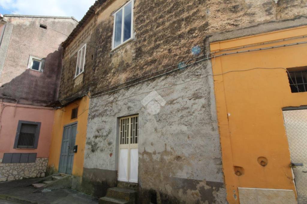 immagine annuncio 12 di 14