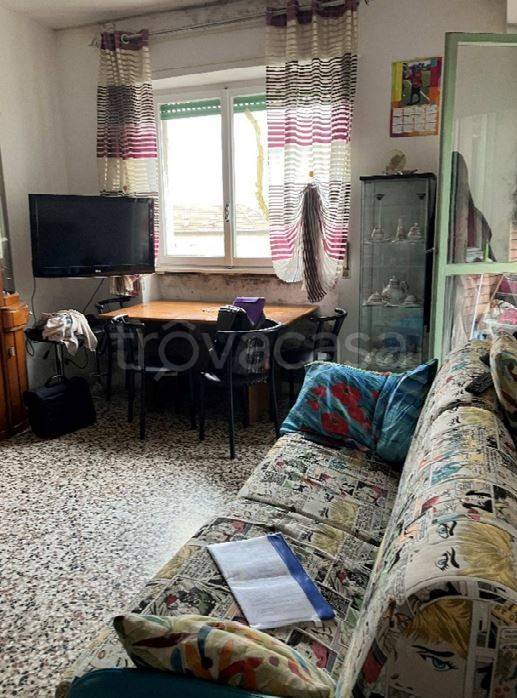 immagine annuncio 2 di 14