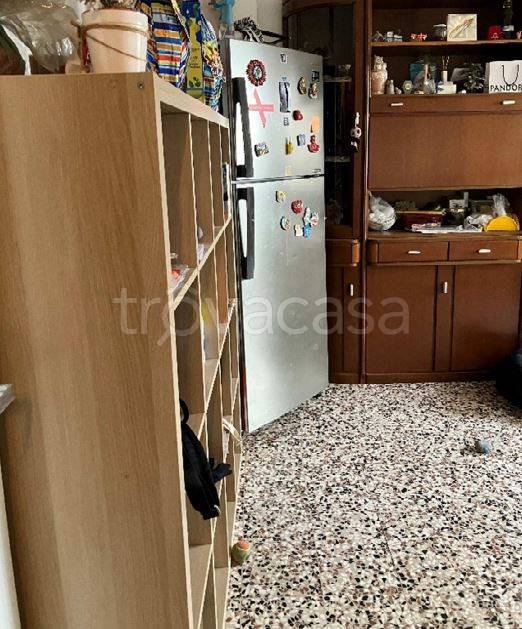 immagine annuncio 4 di 14