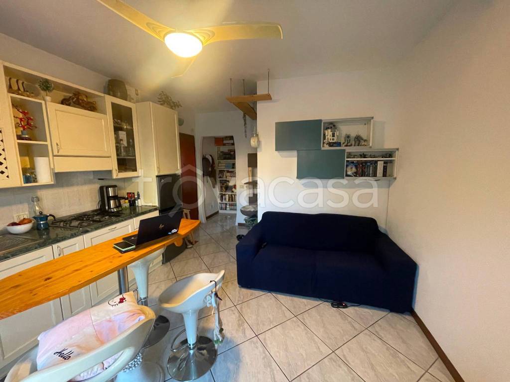 immagine annuncio 2 di 14