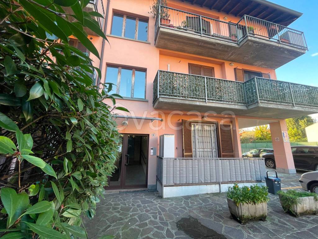 immagine annuncio 9 di 14