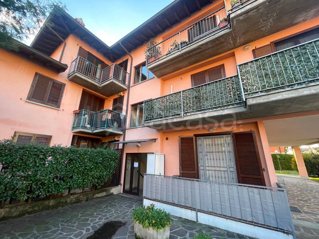 immagine annuncio 12 di 14