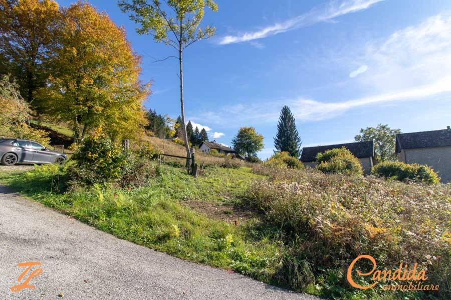 immagine annuncio 4 di 9