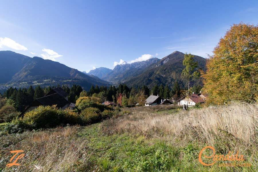 immagine annuncio 7 di 9