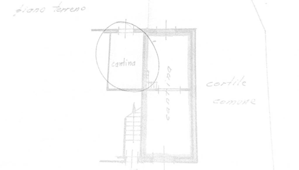 immagine annuncio 5 di 7