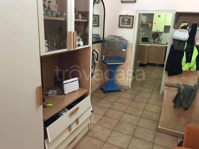 immagine annuncio 3 di 14