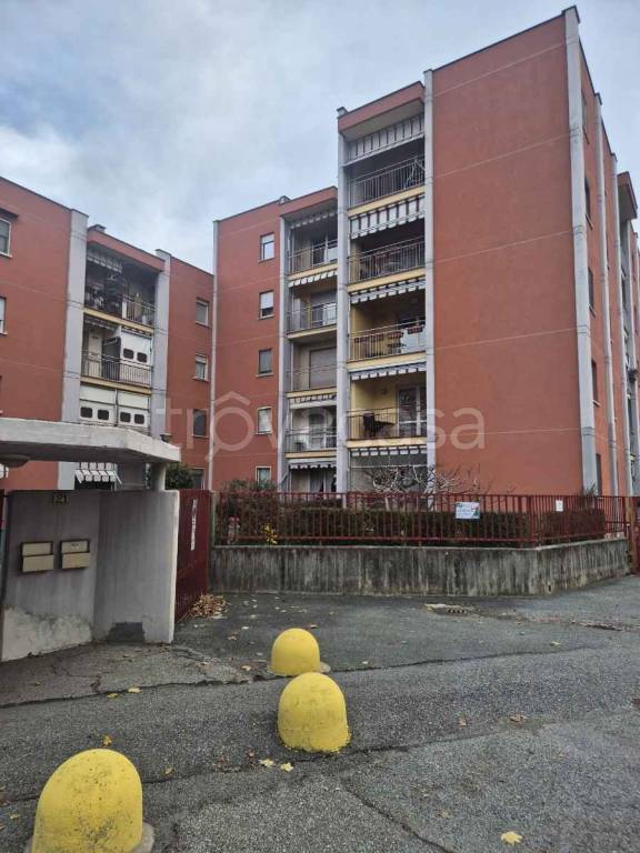 immagine annuncio 1 di 15