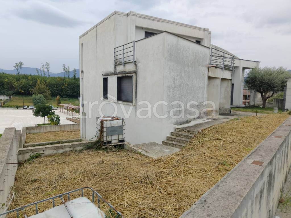 immagine annuncio 1 di 6