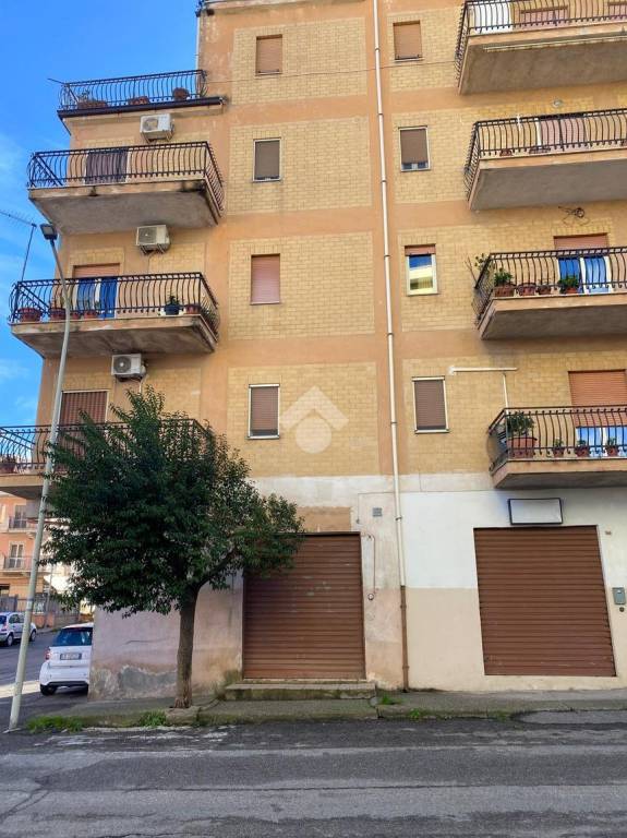 immagine annuncio 2 di 12