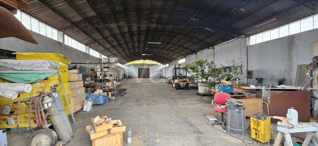 immagine annuncio 8 di 11