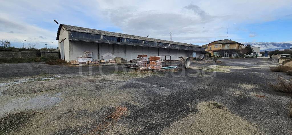 immagine annuncio 4 di 11