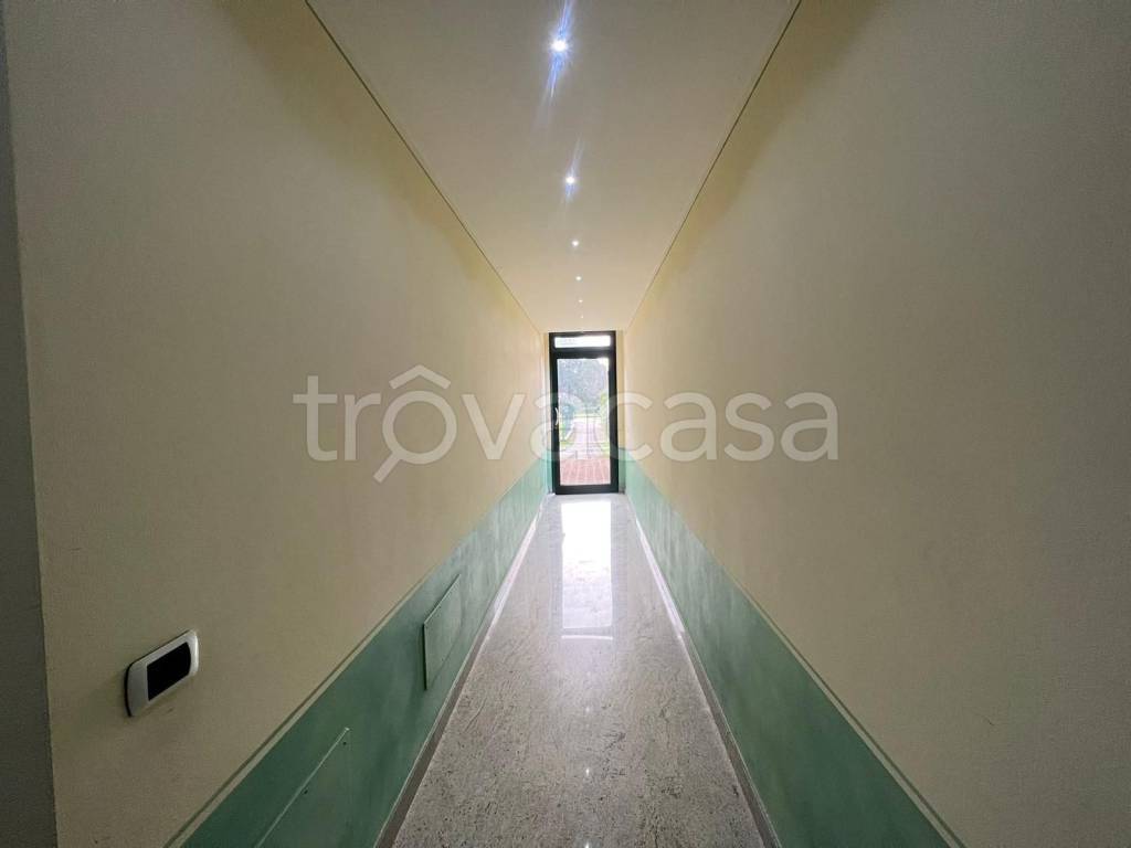 immagine annuncio 11 di 12