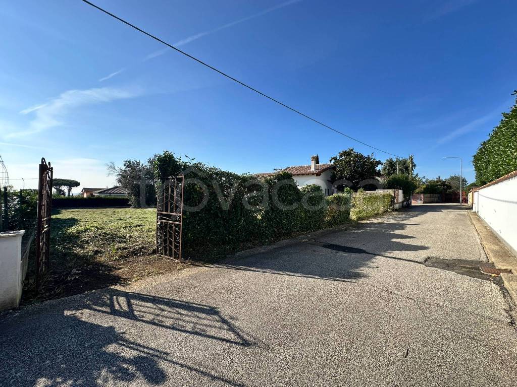 immagine annuncio 3 di 14