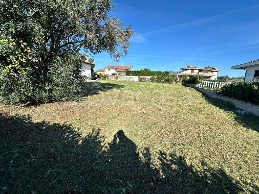 immagine annuncio 4 di 14