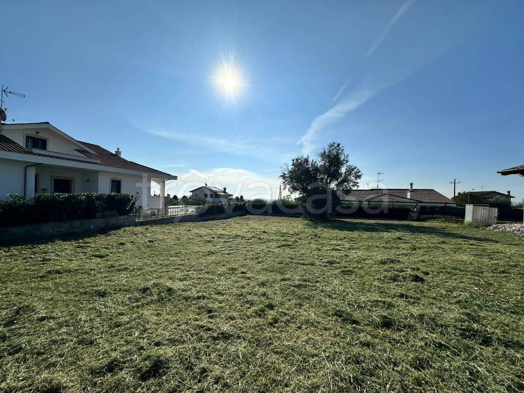 immagine annuncio 7 di 14