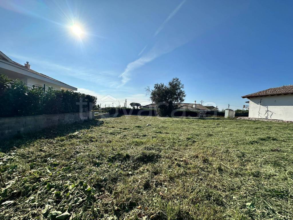 immagine annuncio 9 di 14