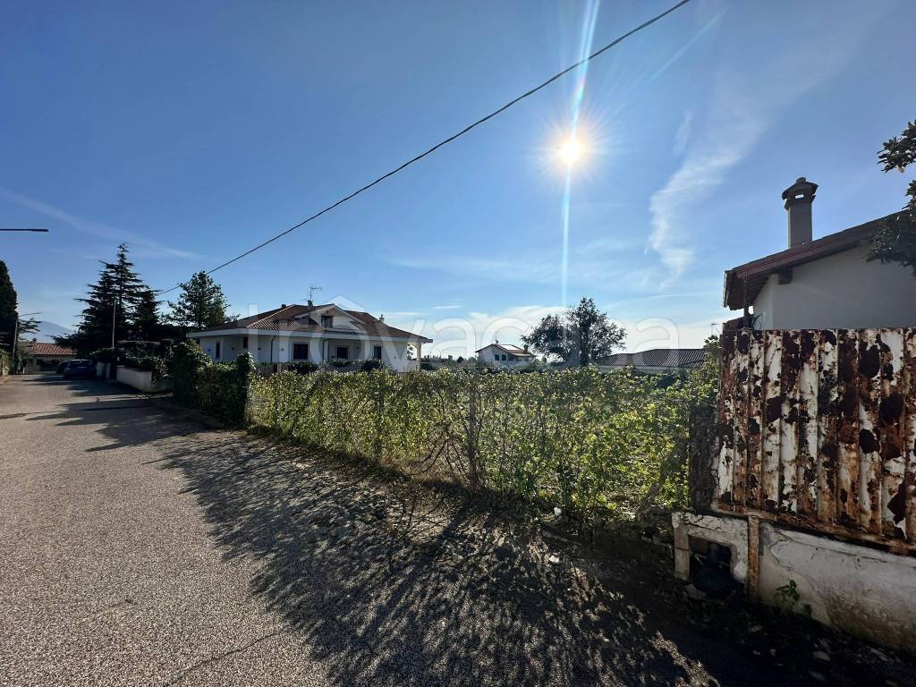 immagine annuncio 11 di 14