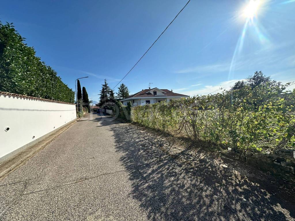 immagine annuncio 13 di 14