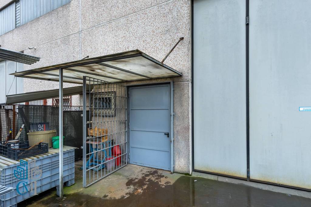 immagine annuncio 5 di 15