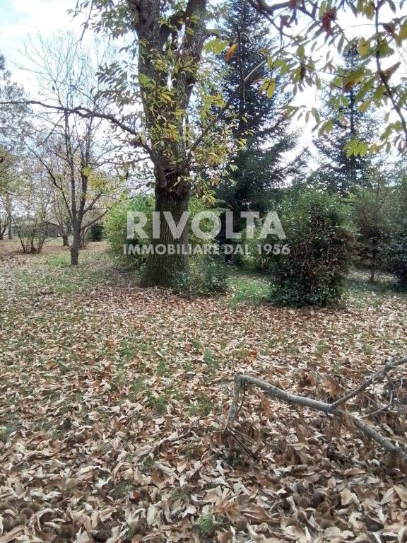 immagine annuncio 10 di 12