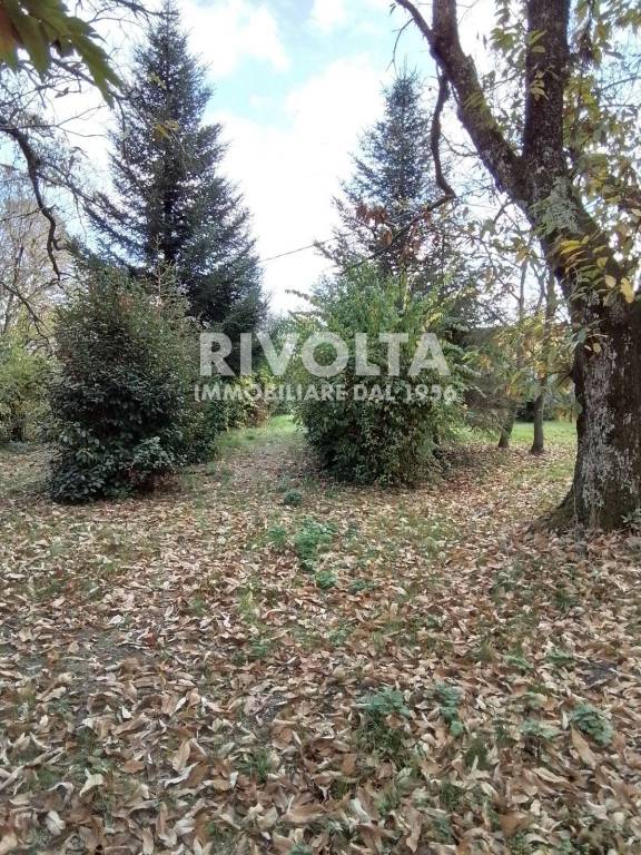 immagine annuncio 11 di 12