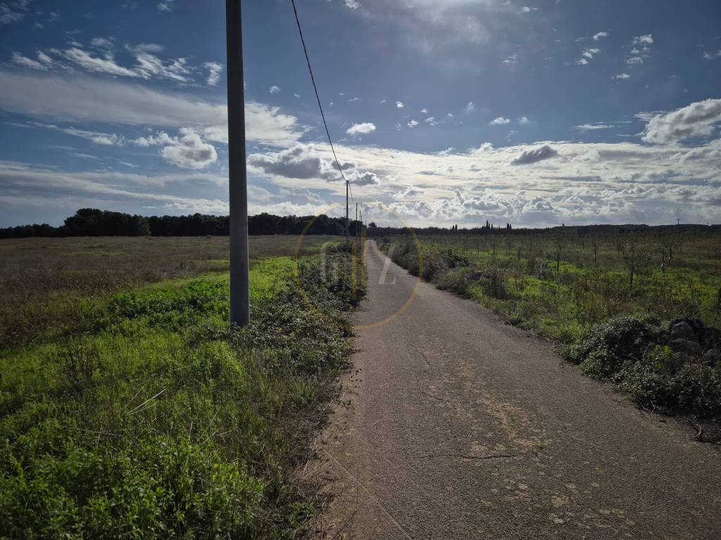 immagine annuncio 2 di 12