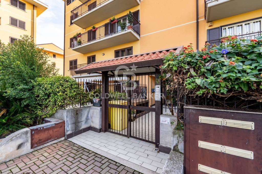 immagine annuncio 4 di 15