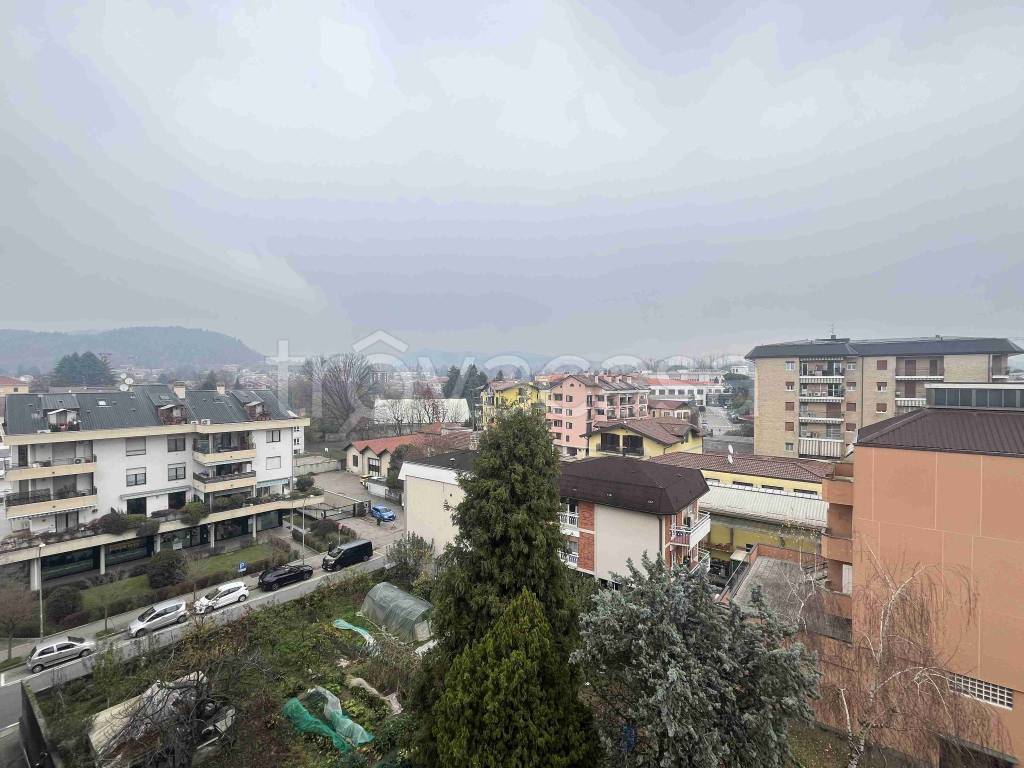 immagine annuncio 9 di 14