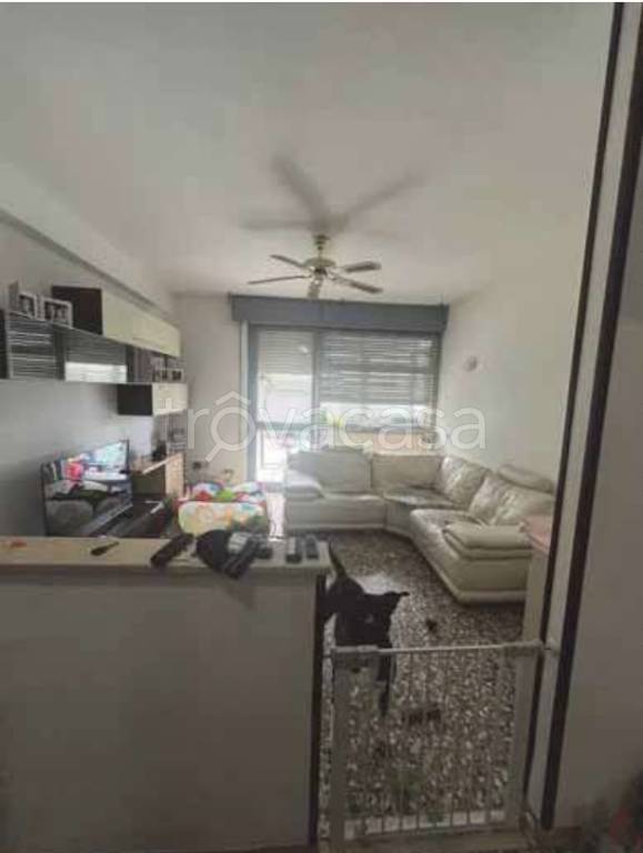 immagine annuncio 7 di 13