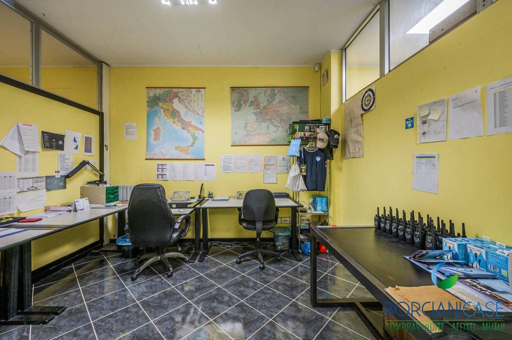 immagine annuncio 13 di 15