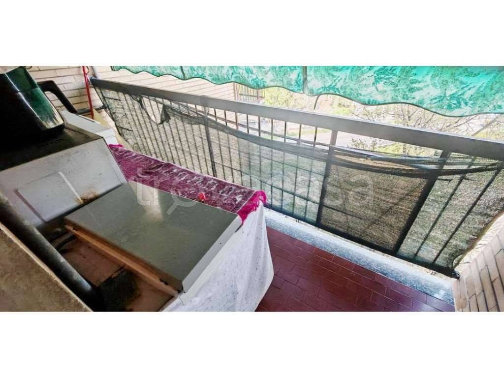 immagine annuncio 10 di 12