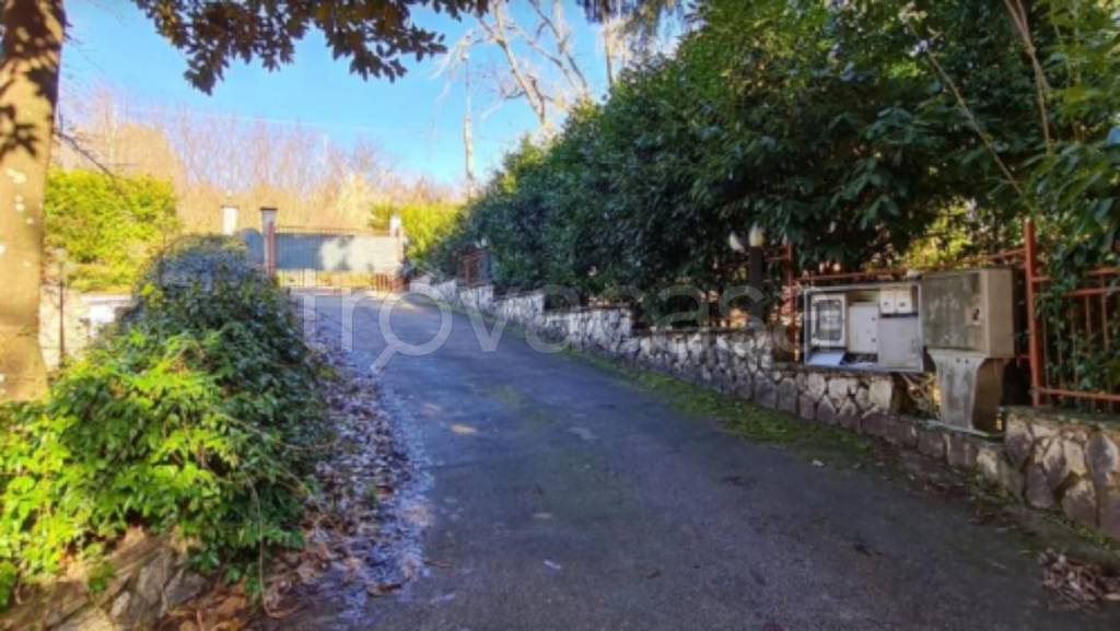 immagine annuncio 12 di 13