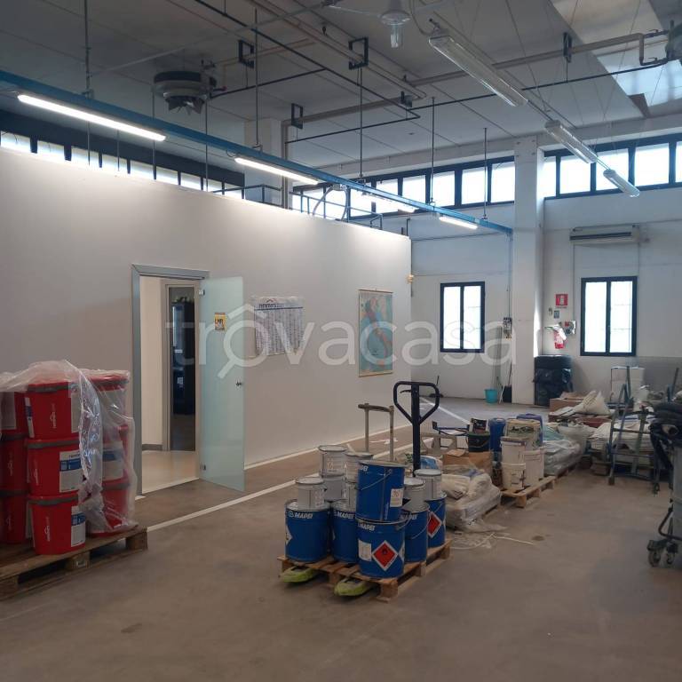 immagine annuncio 5 di 8