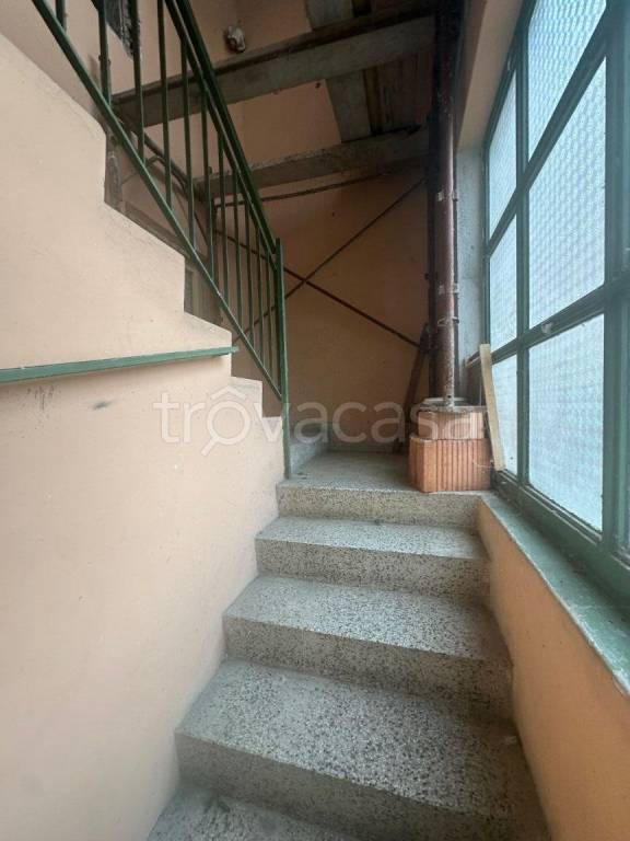 immagine annuncio 4 di 8