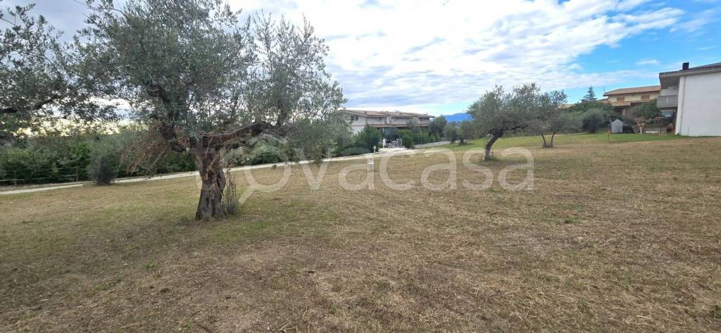 immagine annuncio 1 di 7